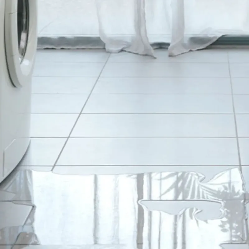 Appliance Leak Cleanup in Wise County, VA