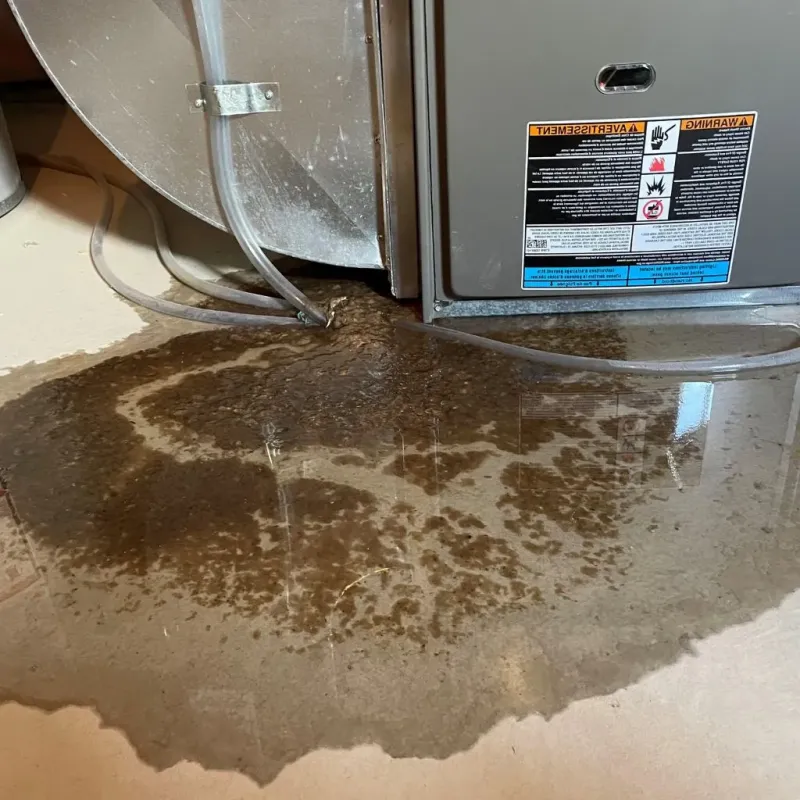 Pipe Burst and Leak Restoration in Wise County, VA